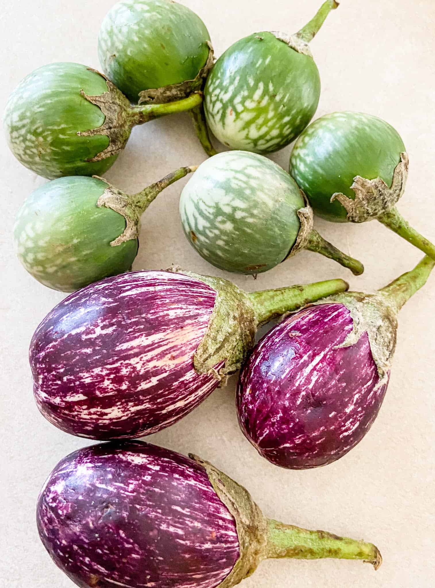 Small green eggplants(Ravaiya). Ravail nu shaak.